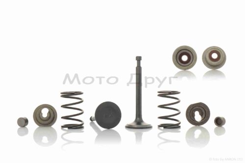 Клапаны ГРМ м/б  168F  в сборе  d24/25  L62.2/63.3