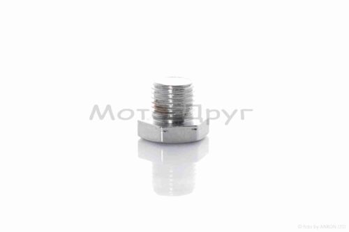 Болт меток ГРМ  DRAGON 200, MATADOR 200  (K166FML)  d12, L10  "SKYMOTO"  #OEM
