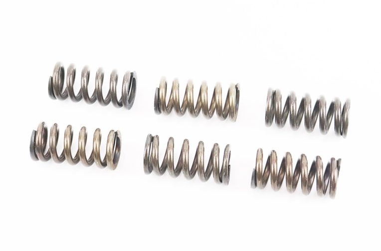 Пружины сцепления D-22mm, L-43,5mm, к-кт 6шт