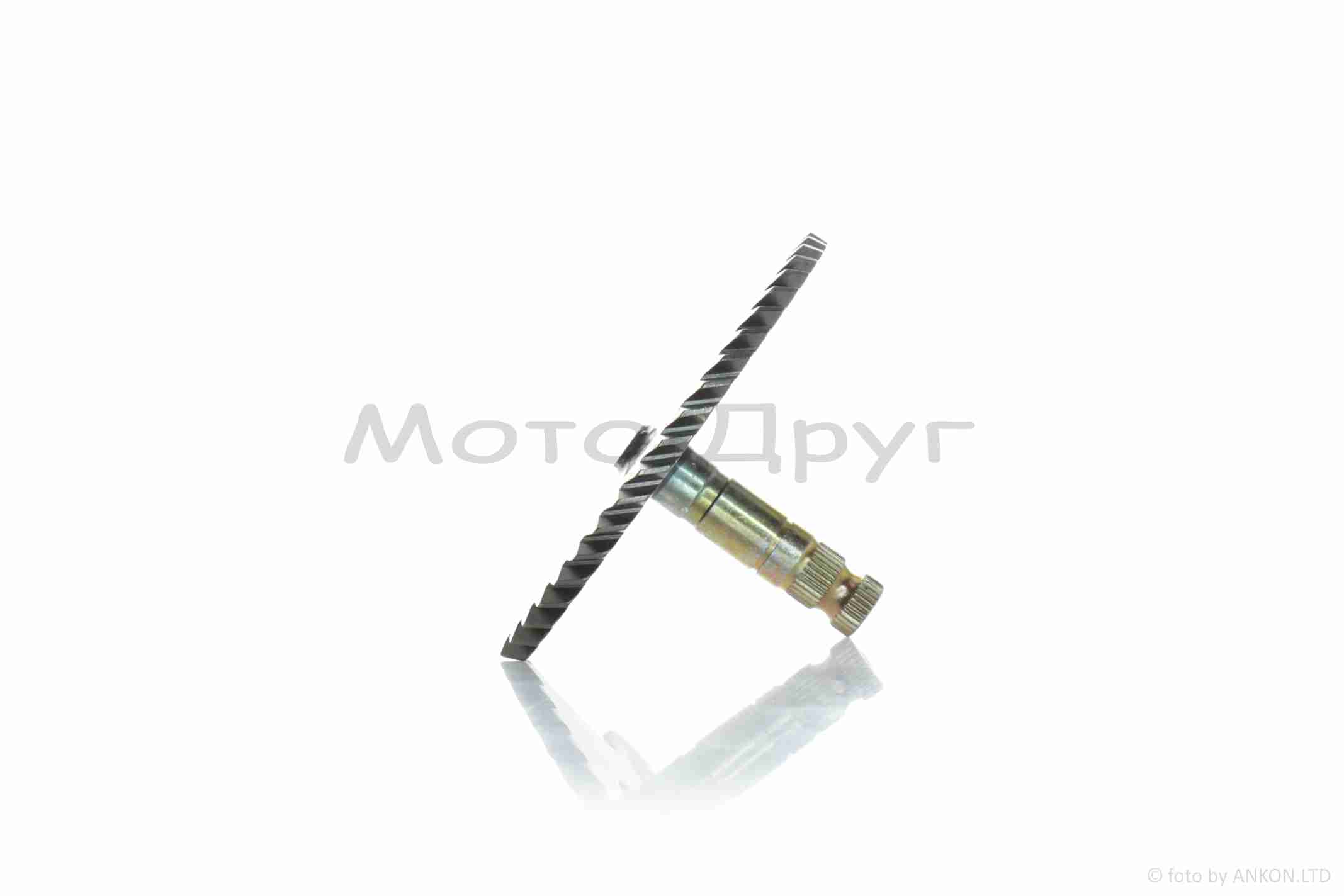 Сектор кикстартера DIO AF61/62 “LIPAI” — изображение 3