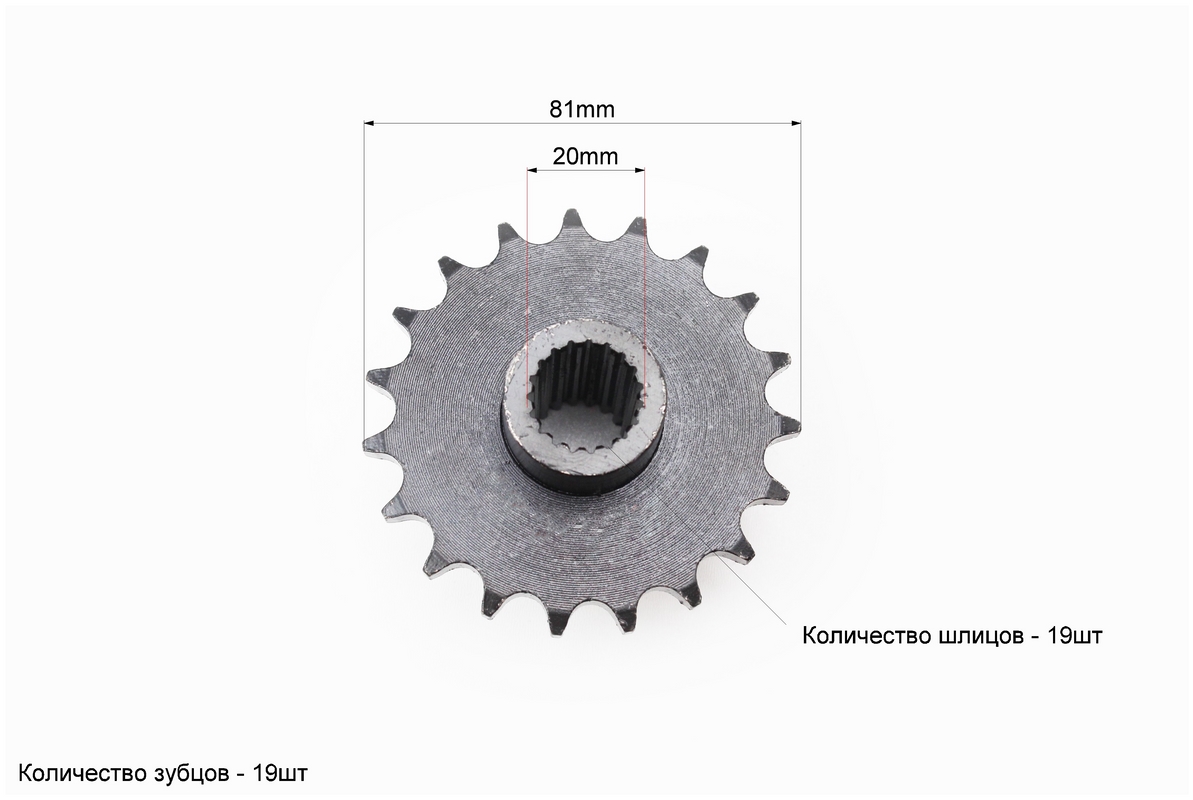 Звезда приводная задняя шлицевая 428-19T (втулка d=20mm, L=48mm