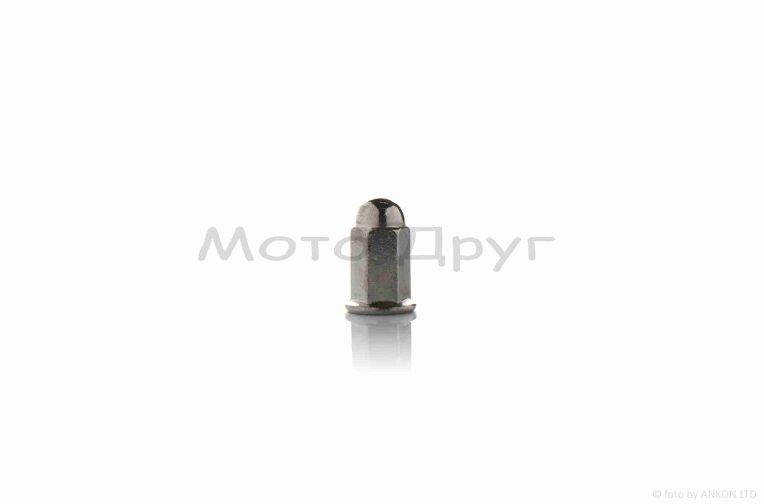Гайка шпильки циліндра Delta 6*21