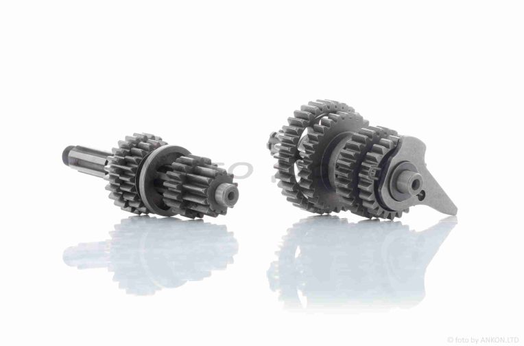 Коробка передач у зборі  Active 110  (DY100)