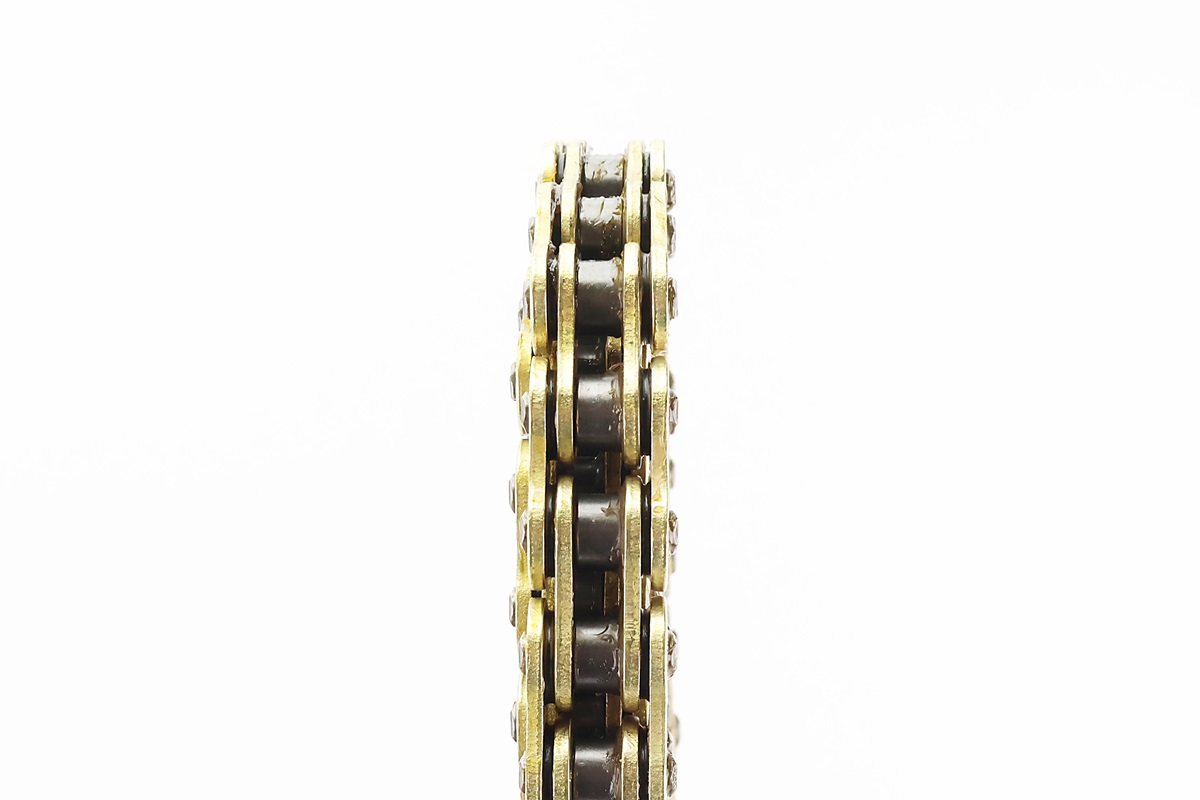 Цепь привода колеса 520VO*120L GOLD (с сальниками) — изображение 2